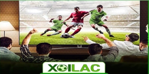 Xoilac TV là địa chỉ cung cấp bóng đá trực tuyến đa dạng nhất thị trường